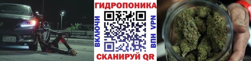 darknet телеграм  Куса  Каннабис VHQ  наркошоп 